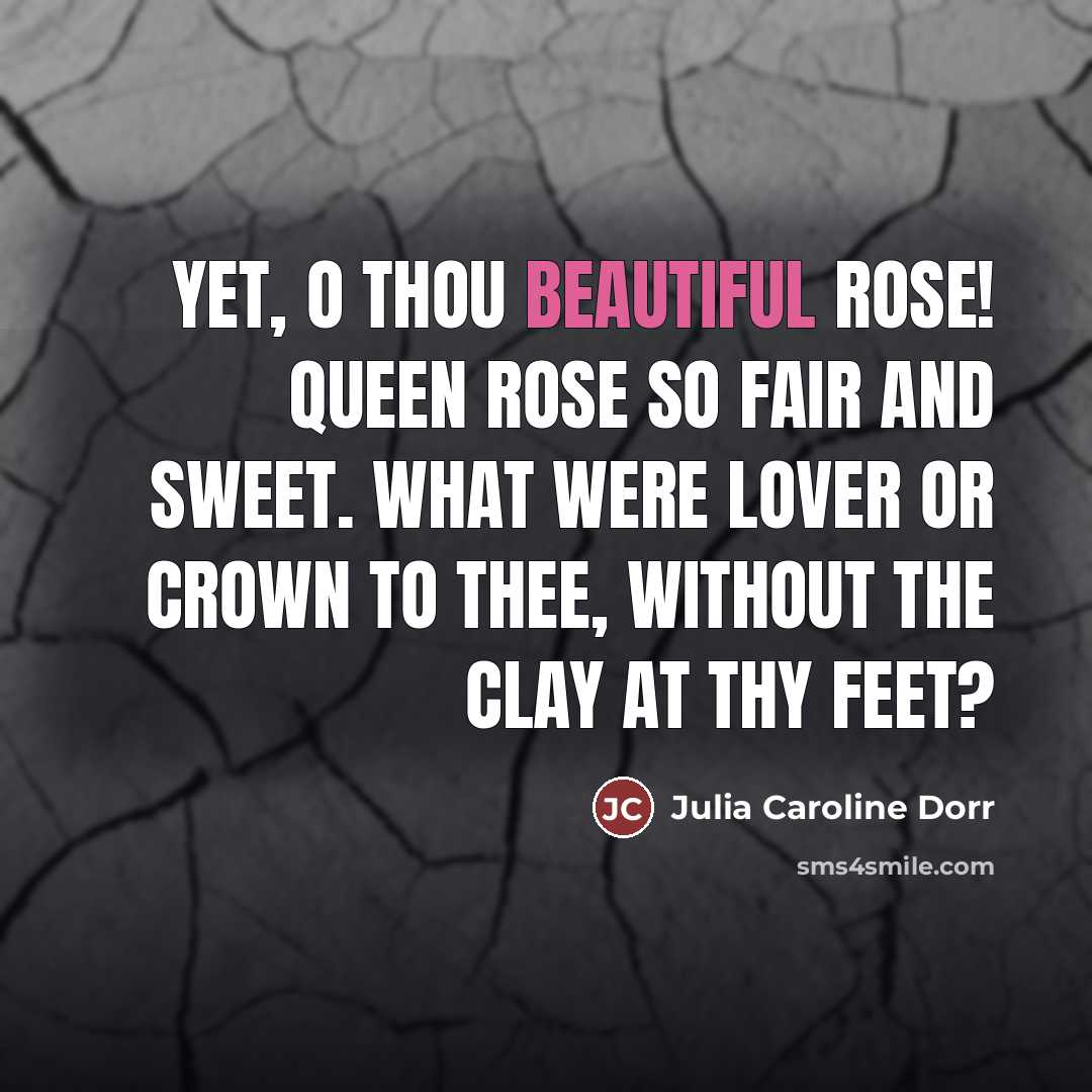 “Yet, O thou beautiful rose! Queen rose so fair and…” quote by Julia Caroline Dorr