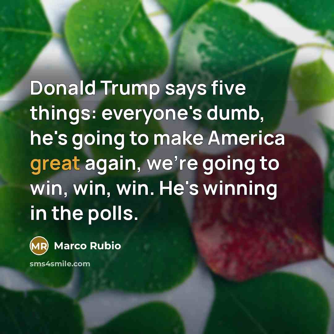 “Donald Trump says five things: everyone's dumb, he's going to…” quote by Marco Rubio