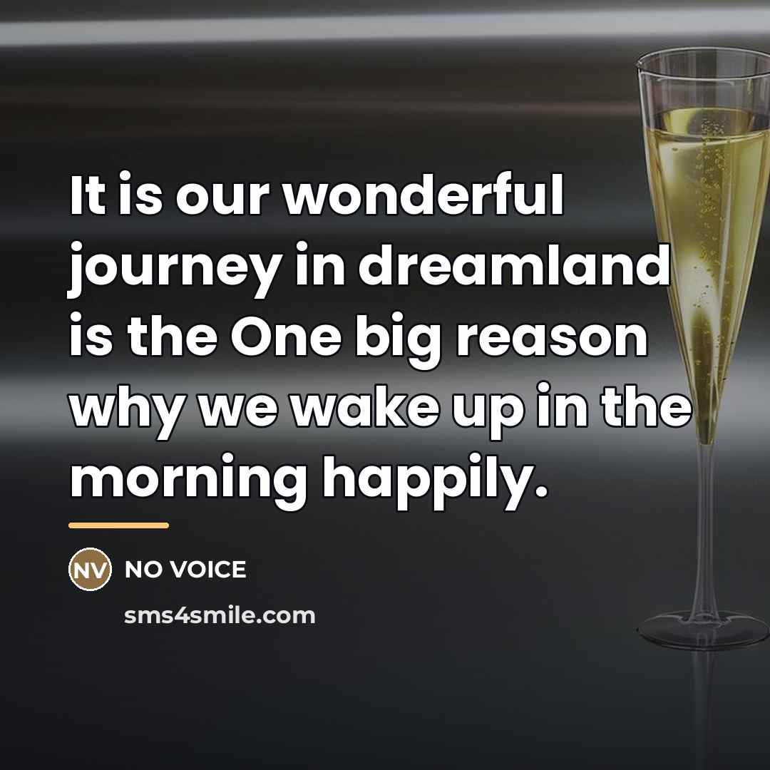 “It is our wonderful journey in dreamland is the One…” quote by NO VOICE