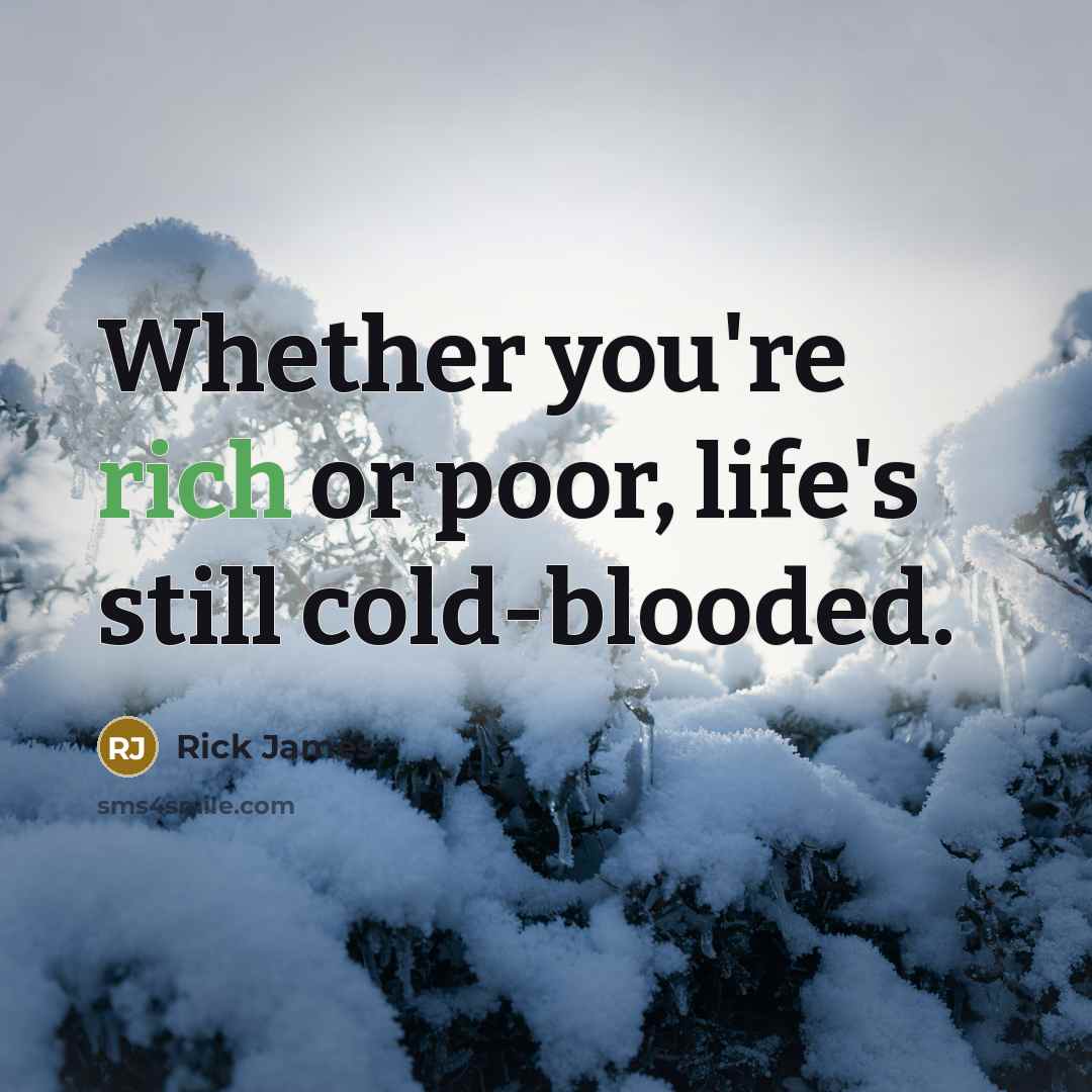 “Whether you're rich or poor, life's still cold-blooded.…” quote by Rick James