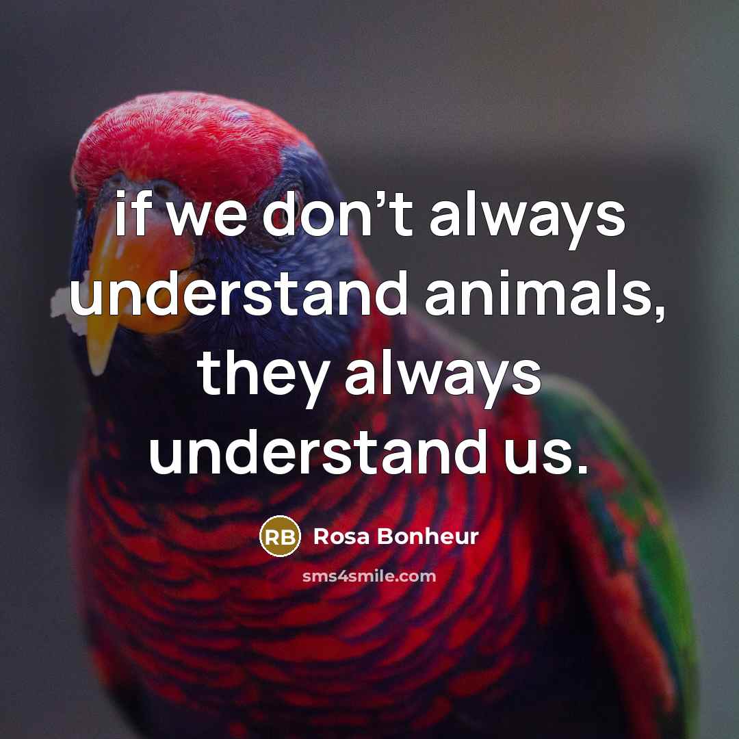 “if we don't always understand animals, they always understand us.…” quote by Rosa Bonheur