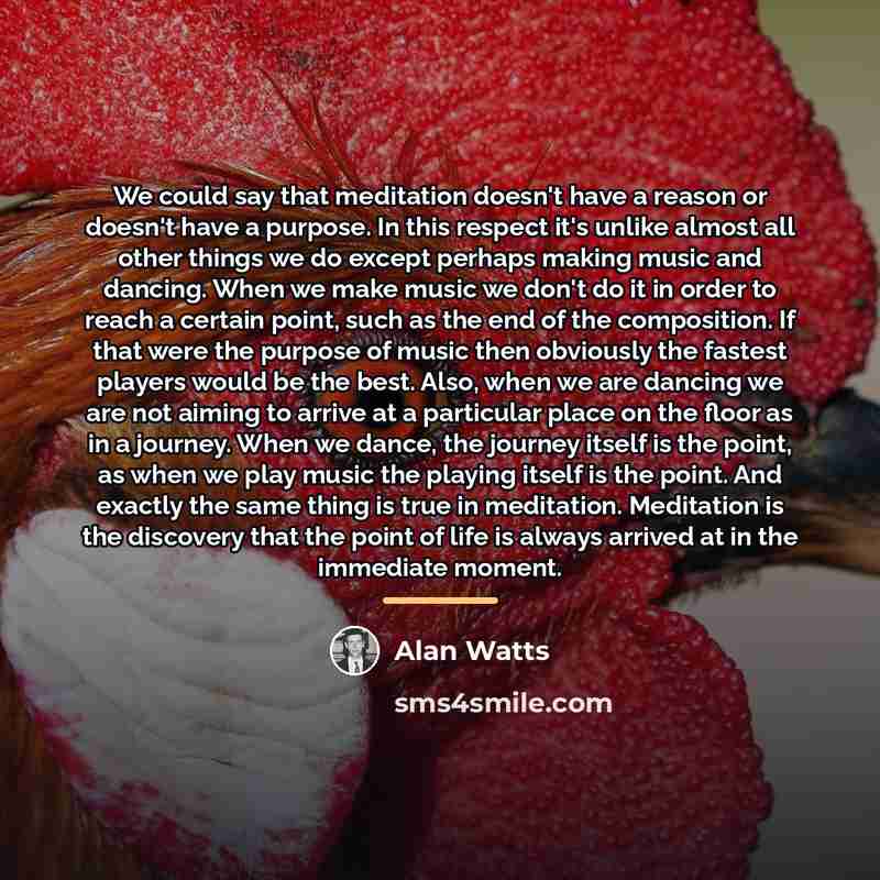 “We could say that meditation doesn't have a reason or…” quote by Alan Watts