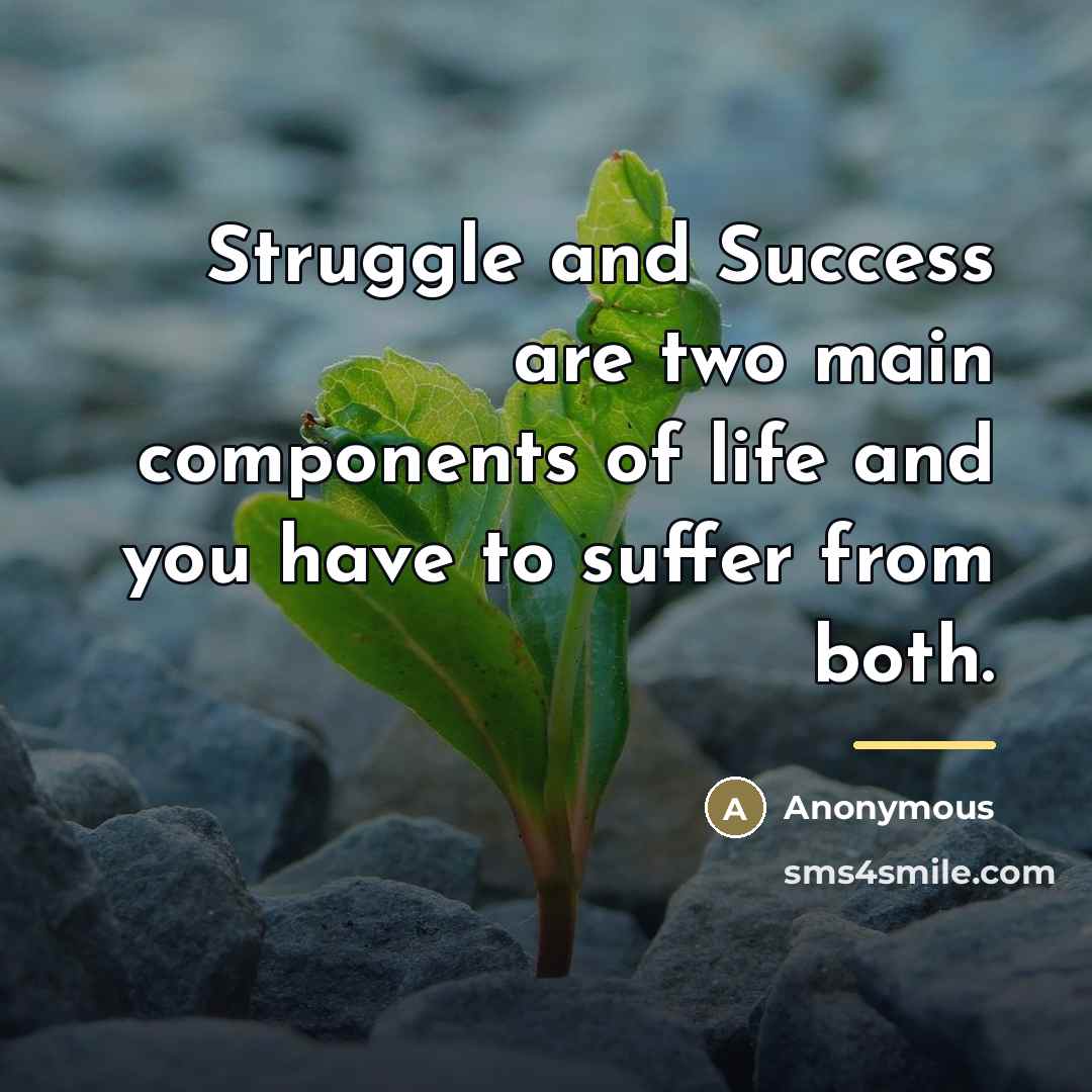 “Struggle and Success are two main components of life and…” quote by Anonymous