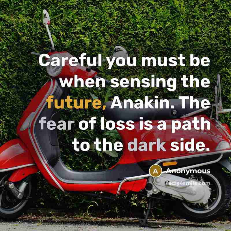 “Careful you must be when sensing the future, Anakin. The fear of loss is a path to the dark side.” quote by Anonymous