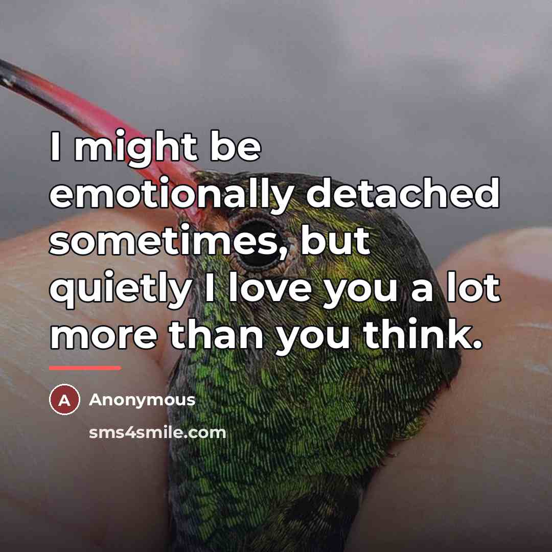 “I might be emotionally detached sometimes, but quietly I love…” quote by Anonymous