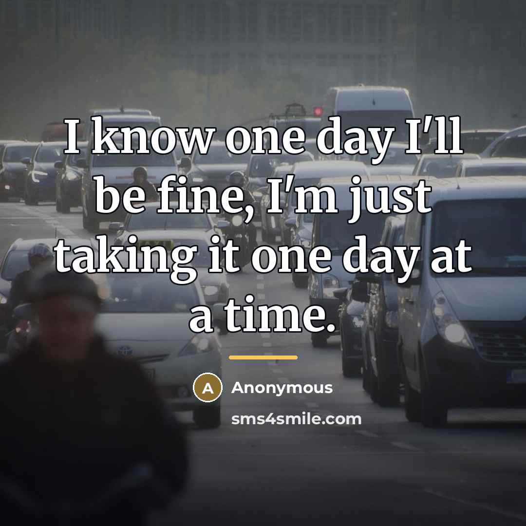 “I know one day I'll be fine, I'm just taking…” quote by Anonymous