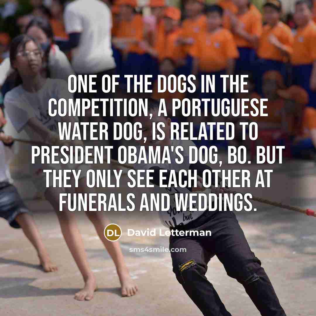 “One of the dogs in the competition, a Portuguese Water…” quote by David Letterman