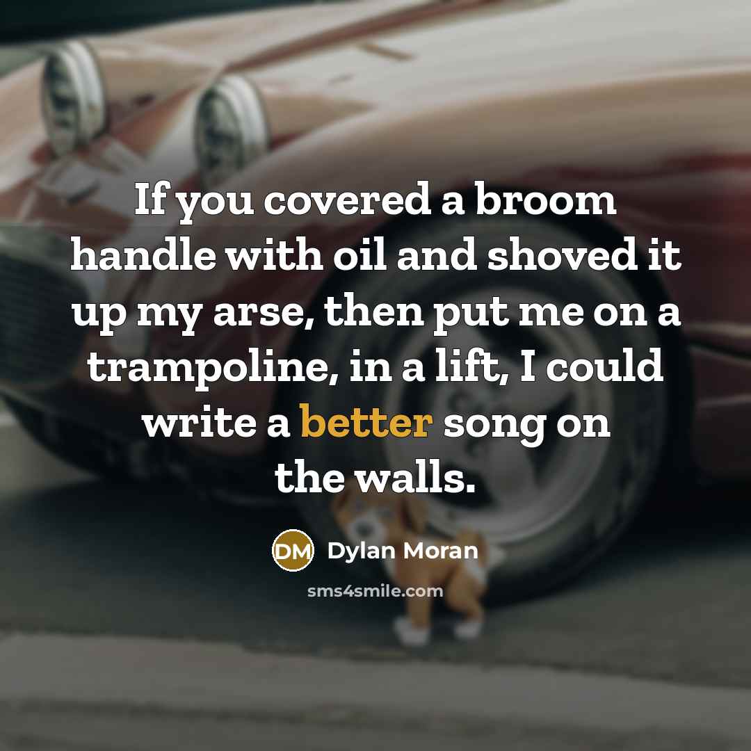 “If you covered a broom handle with oil and shoved…” quote by Dylan Moran