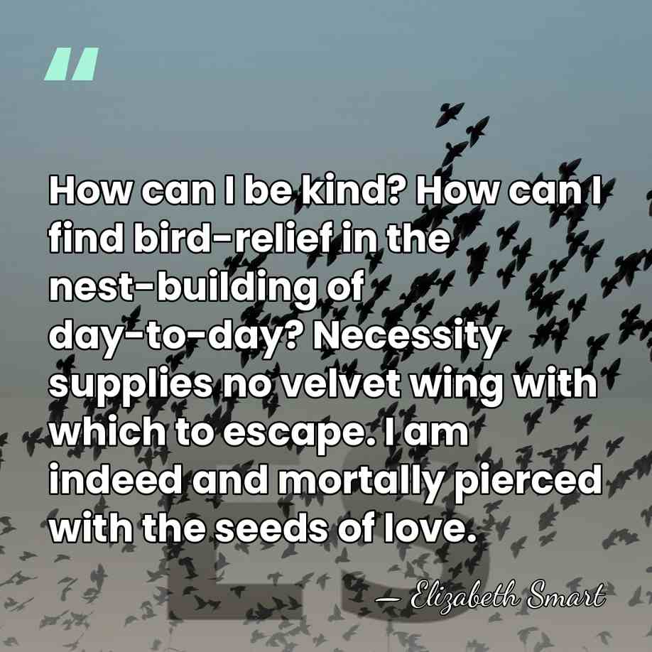 How can I be kind? How can I find bird-relief in the&hellip; - Elizabeth Smart