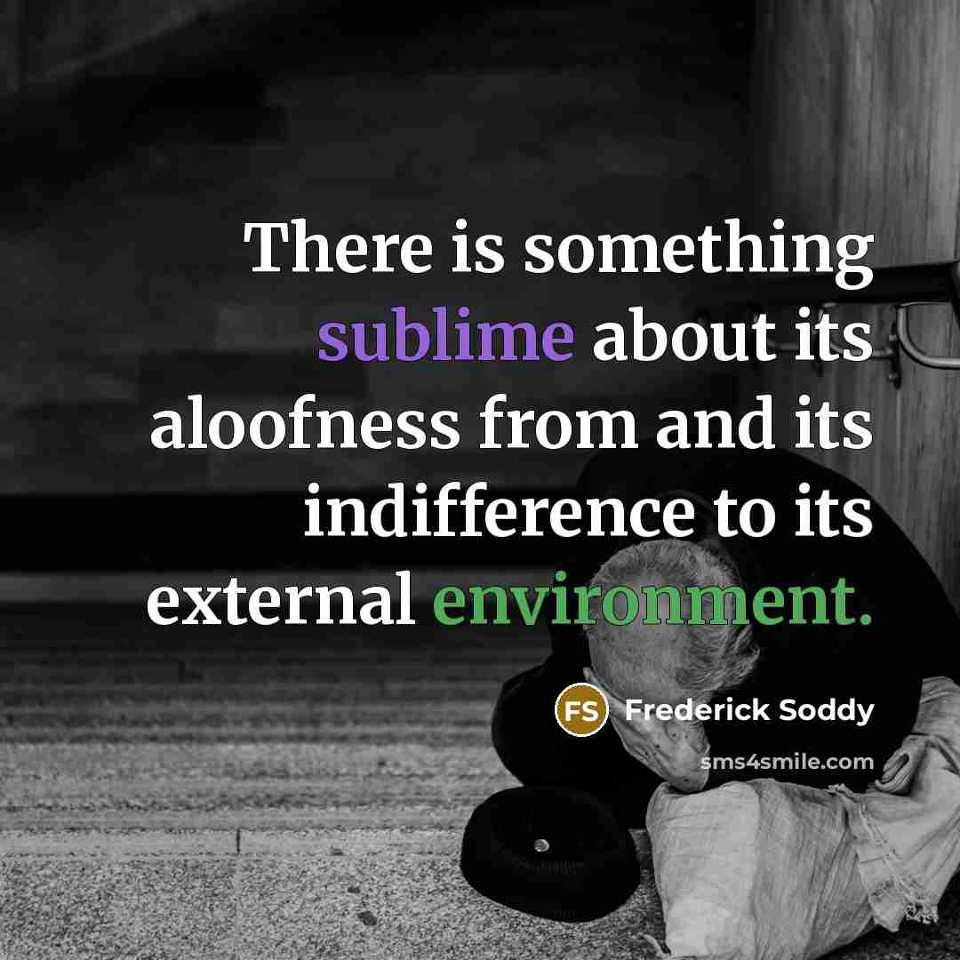 “There is something sublime about its aloofness from and its indifference to its external environment.” quote by Frederick Soddy