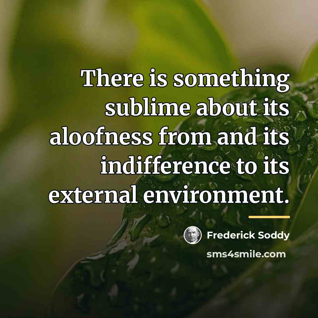 “There is something sublime about its aloofness from and its…” quote by Frederick Soddy