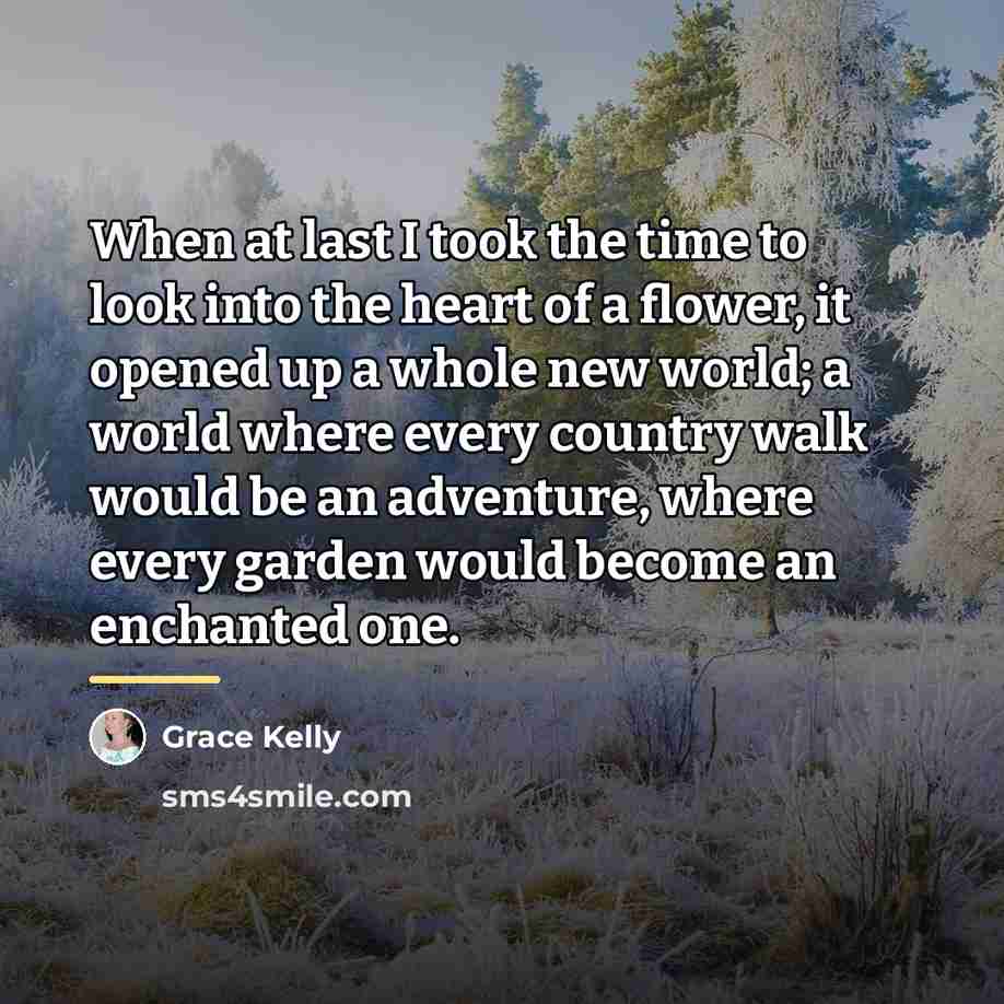 “When at last I took the time to look into…” quote by Grace Kelly