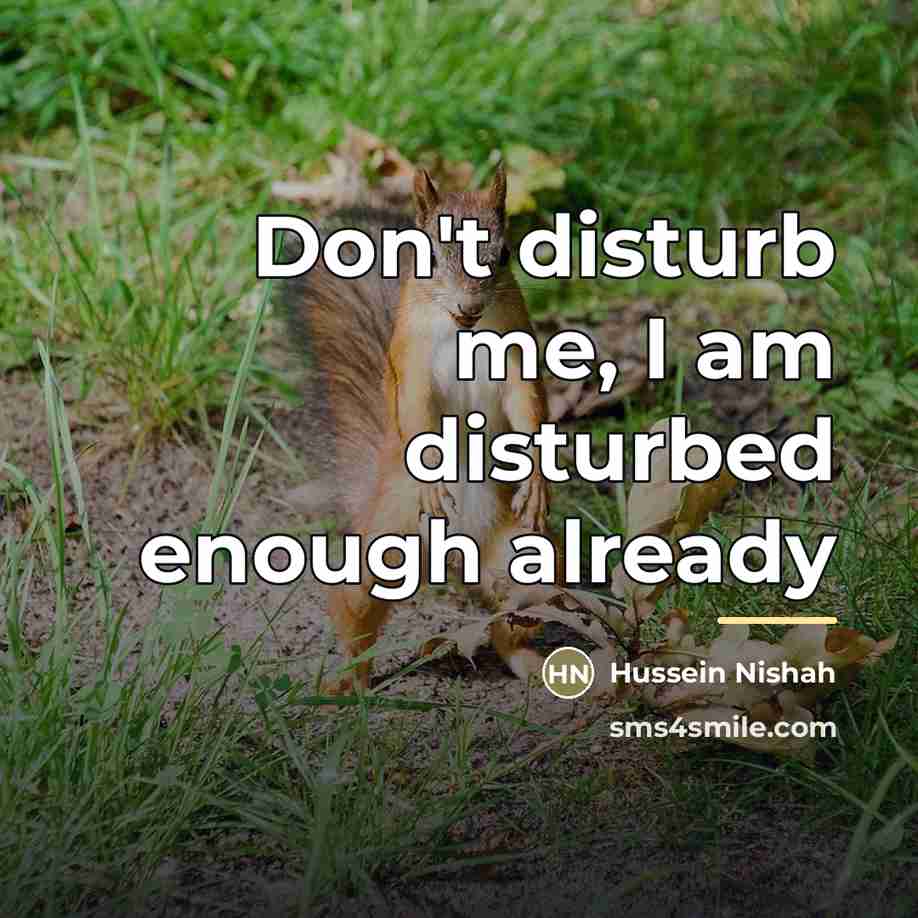 “Don't disturb me, I am disturbed enough already…” quote by Hussein Nishah