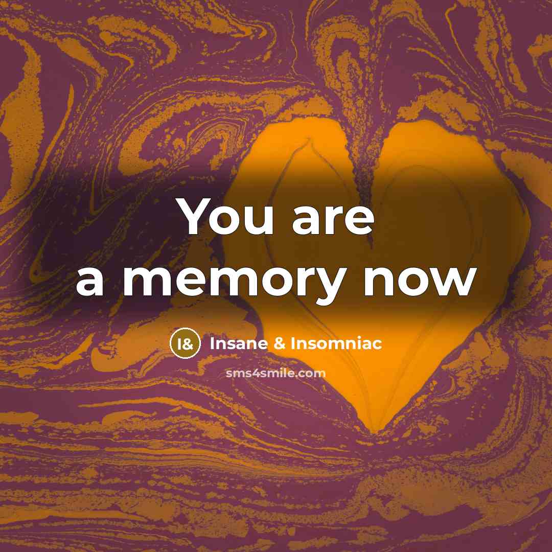 “You are a memory now…” quote by Insane & Insomniac