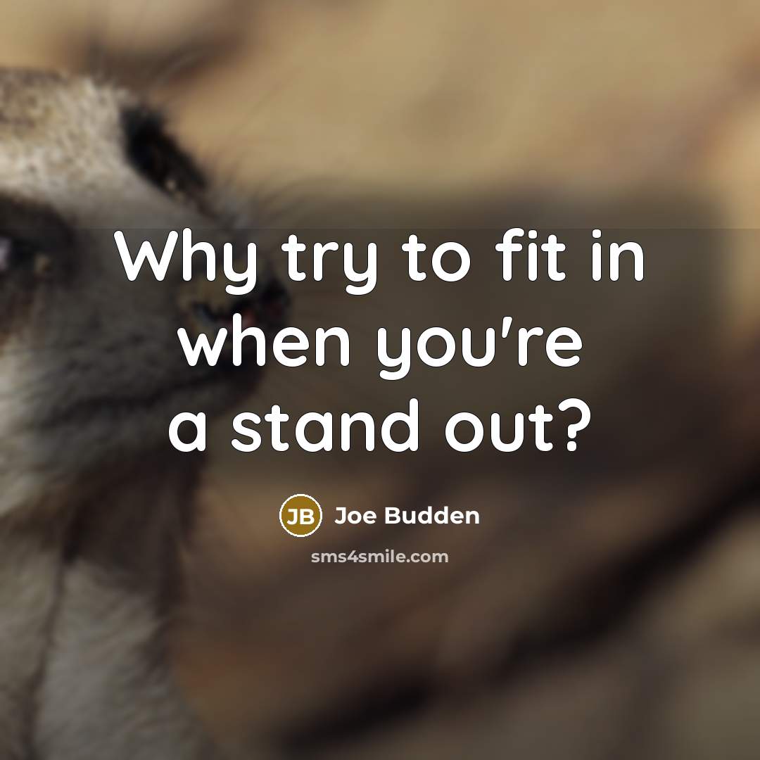 “Why try to fit in when you're a stand out?…” quote by Joe Budden