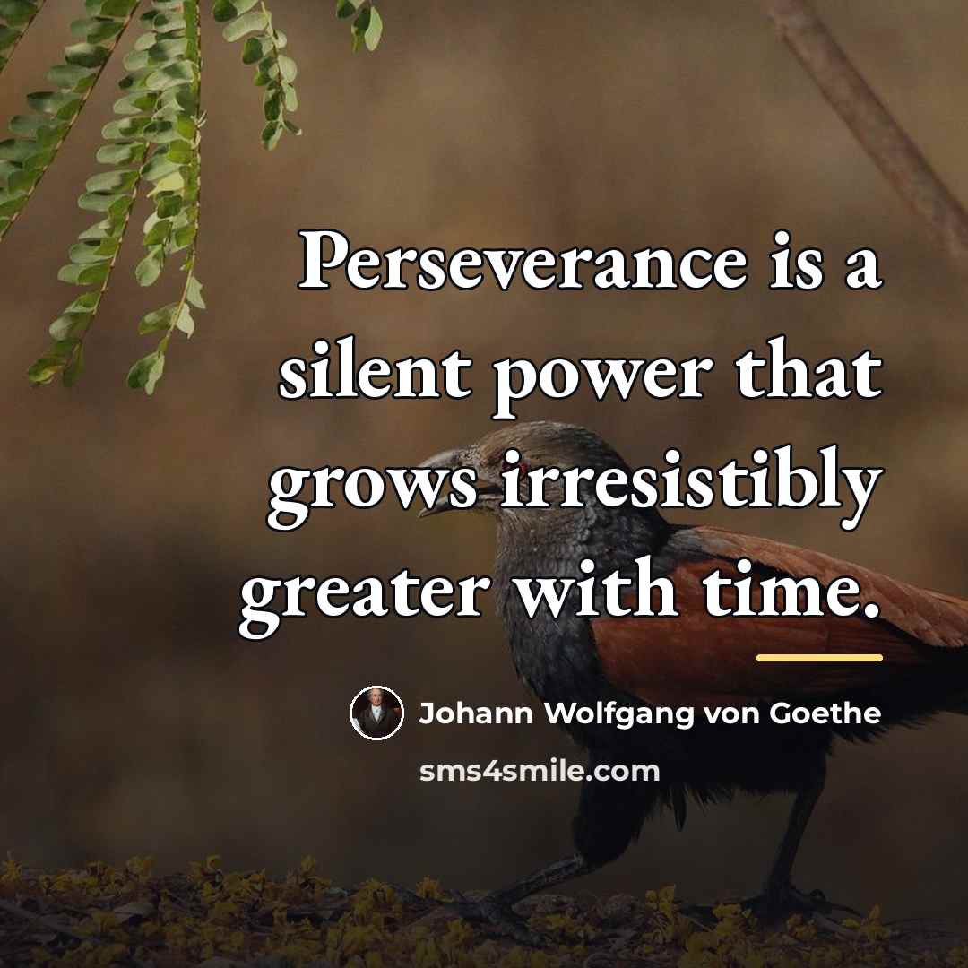 “Perseverance is a silent power that grows irresistibly greater with…” quote by Johann Wolfgang von Goethe