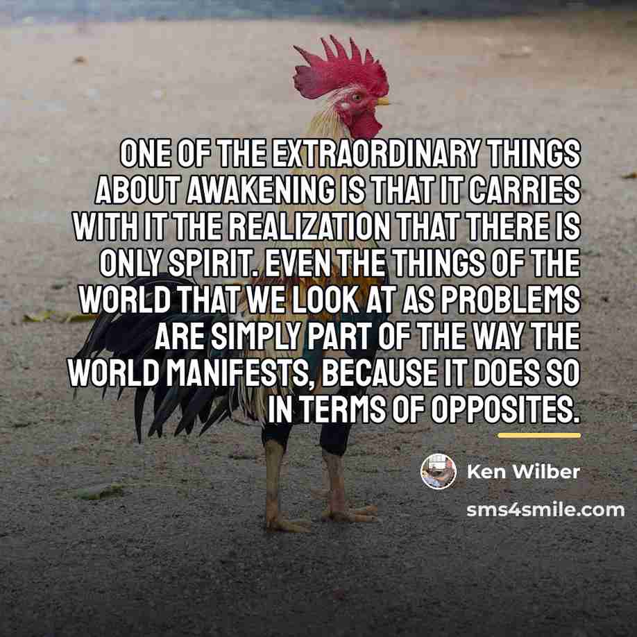 “One of the extraordinary things about awakening is that it…” quote by Ken Wilber