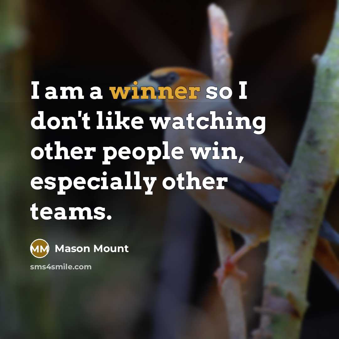 “I am a winner so I don't like watching other…” quote by Mason Mount