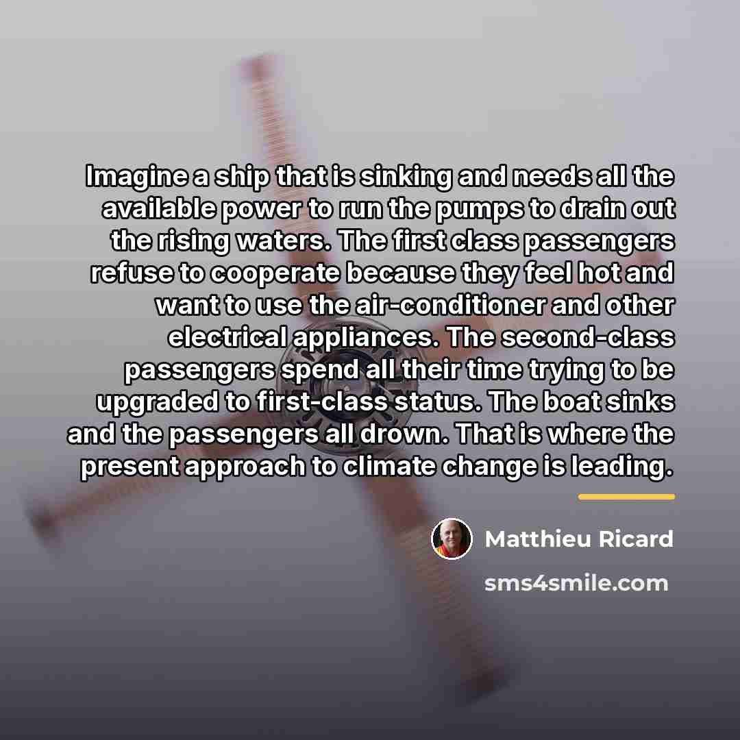 “Imagine a ship that is sinking and needs all the…” quote by Matthieu Ricard