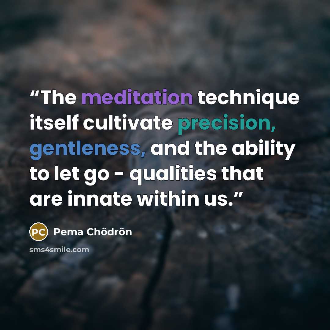 “The meditation technique itself cultivate precision, gentleness, and the ability to let go - qualities that are innate within us.” quote by Pema Chödrön