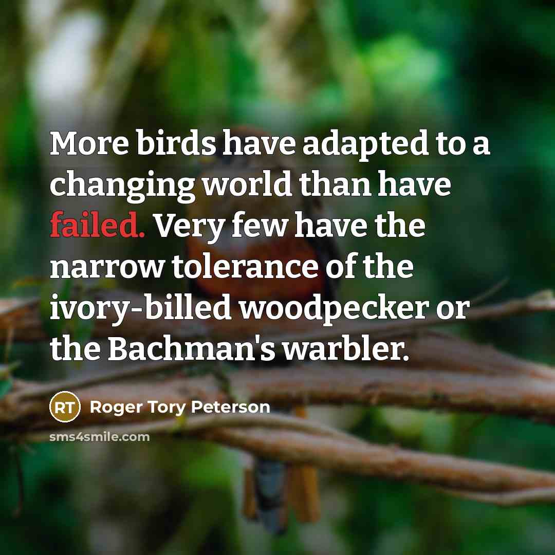 “More birds have adapted to a changing world than have…” quote by Roger Tory Peterson