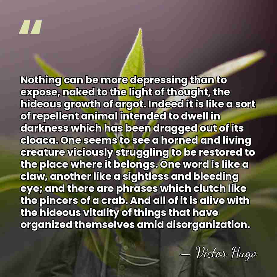 Nothing can be more depressing than to expose, naked to the light&hellip; - Victor Hugo