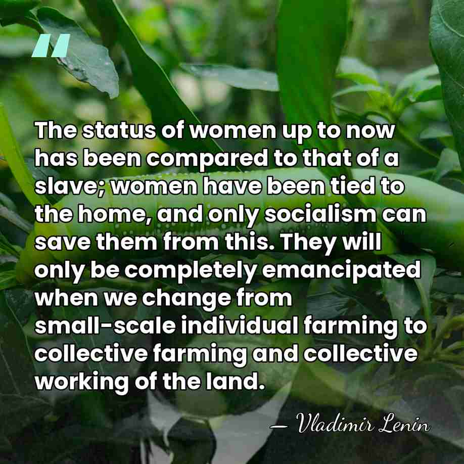 The status of women up to now has been compared to that&hellip; - Vladimir Lenin