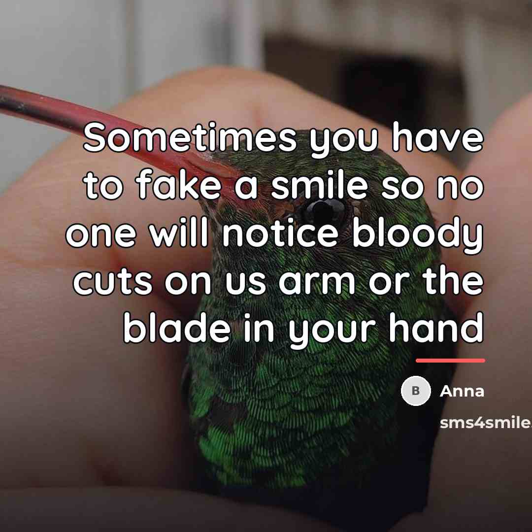 “Sometimes you have to fake a smile so no one…” quote by Anna