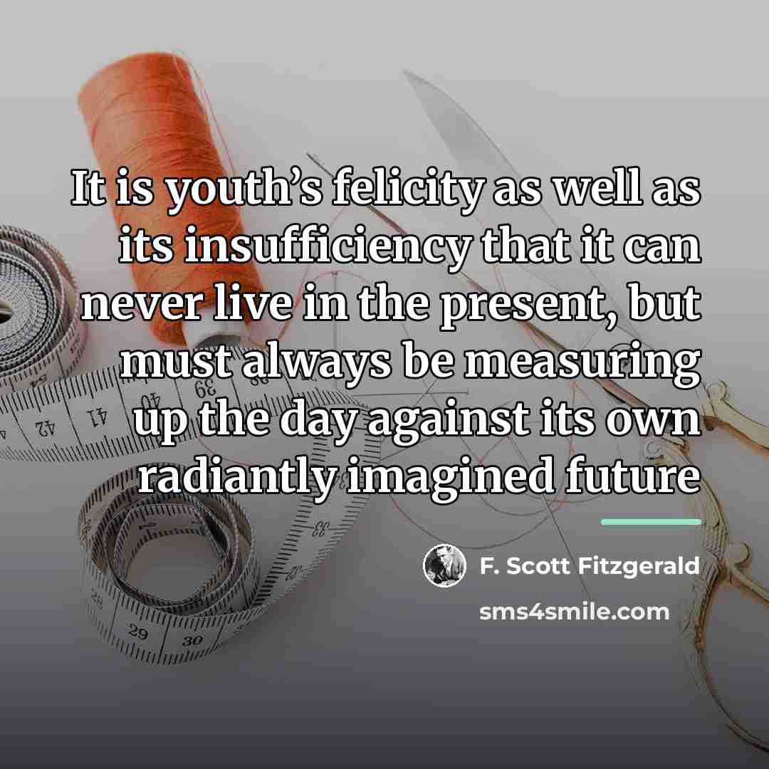 “It is youth’s felicity as well as its insufficiency that…” quote by F. Scott Fitzgerald