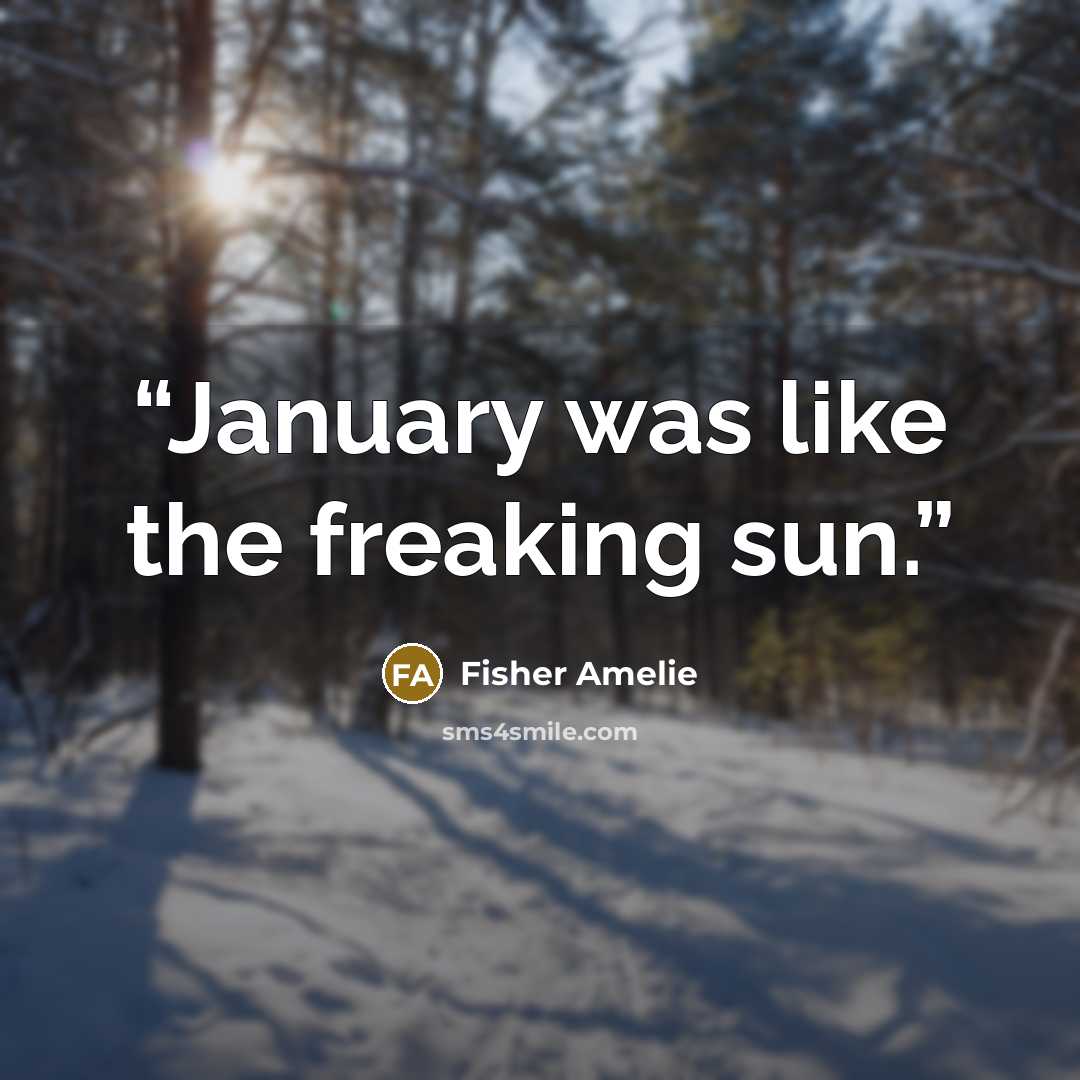 “January was like the freaking sun.” quote by Fisher Amelie