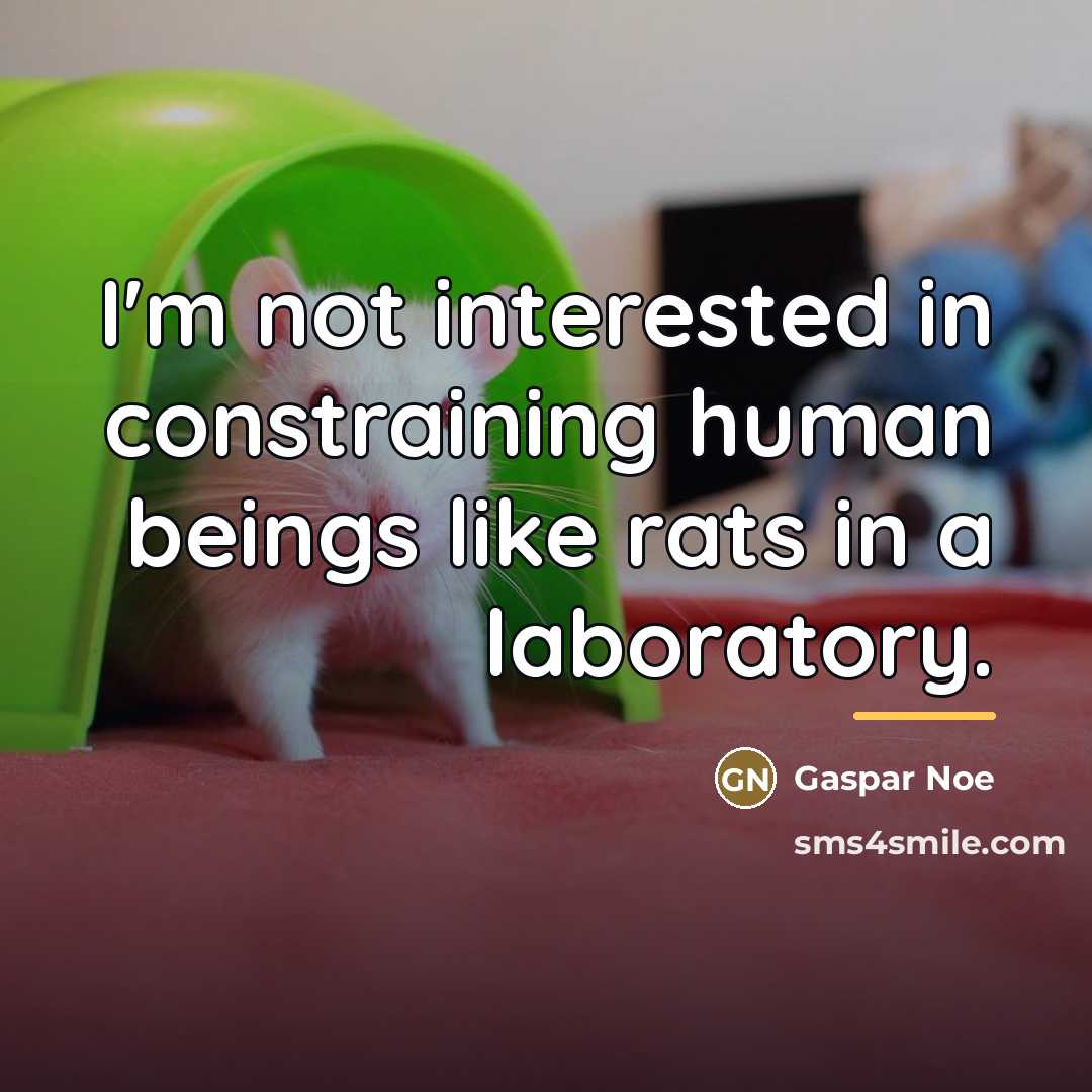 “I'm not interested in constraining human beings like rats in…” quote by Gaspar Noe