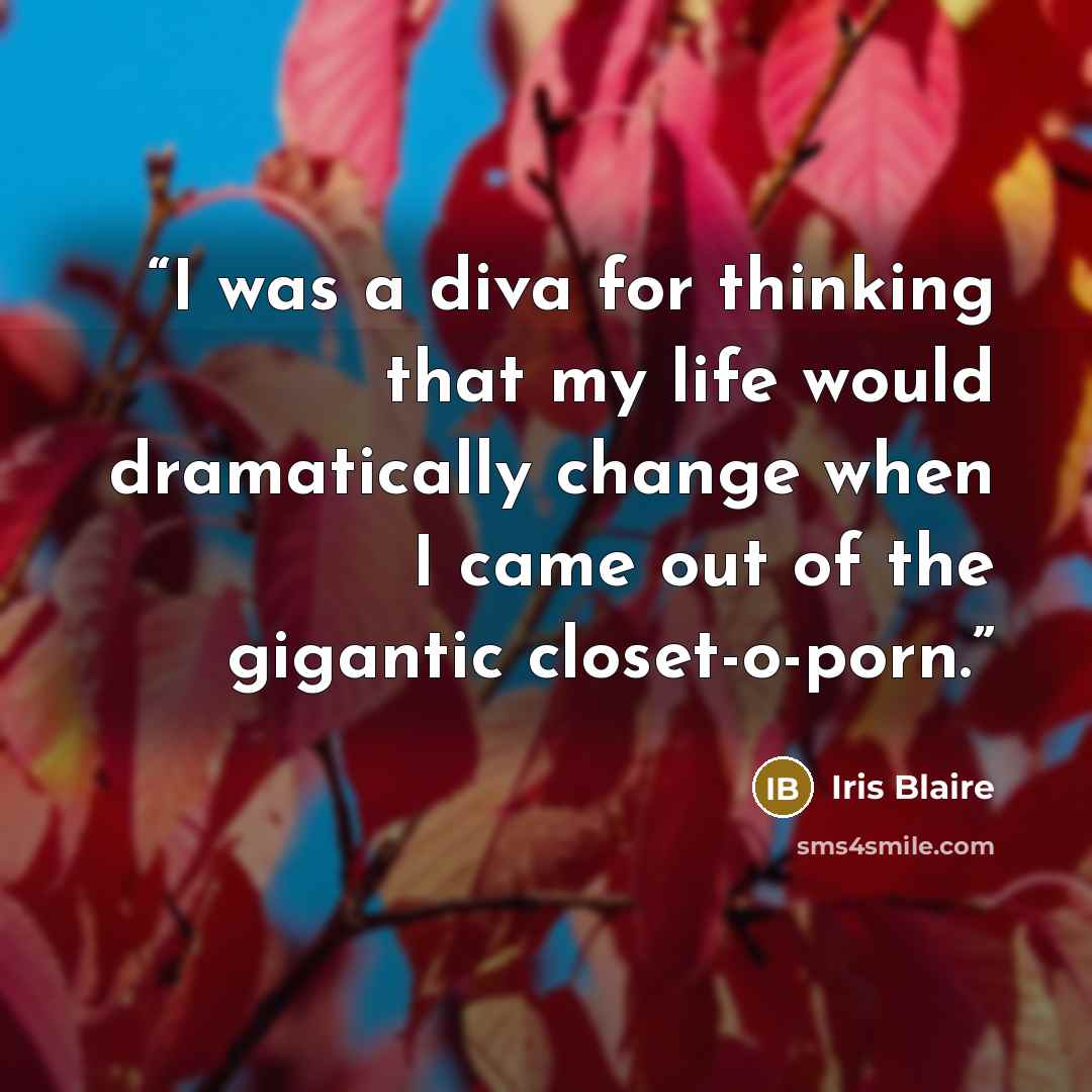 “I was a diva for thinking that my life would dramatically change when I came out of the gigantic closet-o-porn.” quote by Iris Blaire