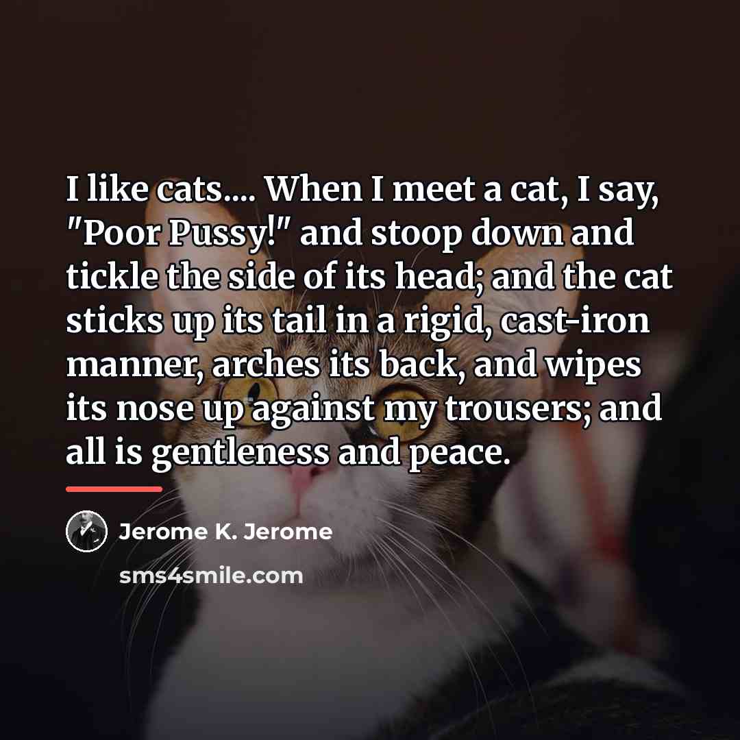 “I like cats.... When I meet a cat, I say,…” quote by Jerome K. Jerome