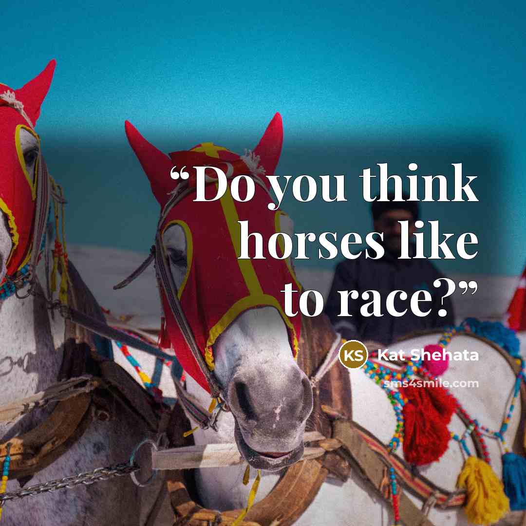 “Do you think horses like to race?” quote by Kat Shehata