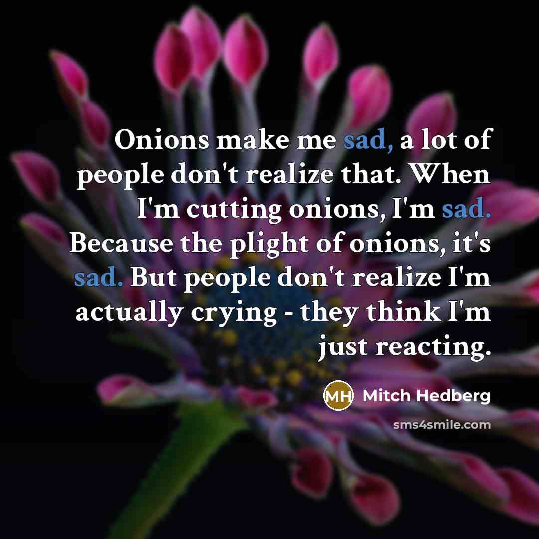 “Onions make me sad, a lot of people don't realize…” quote by Mitch Hedberg