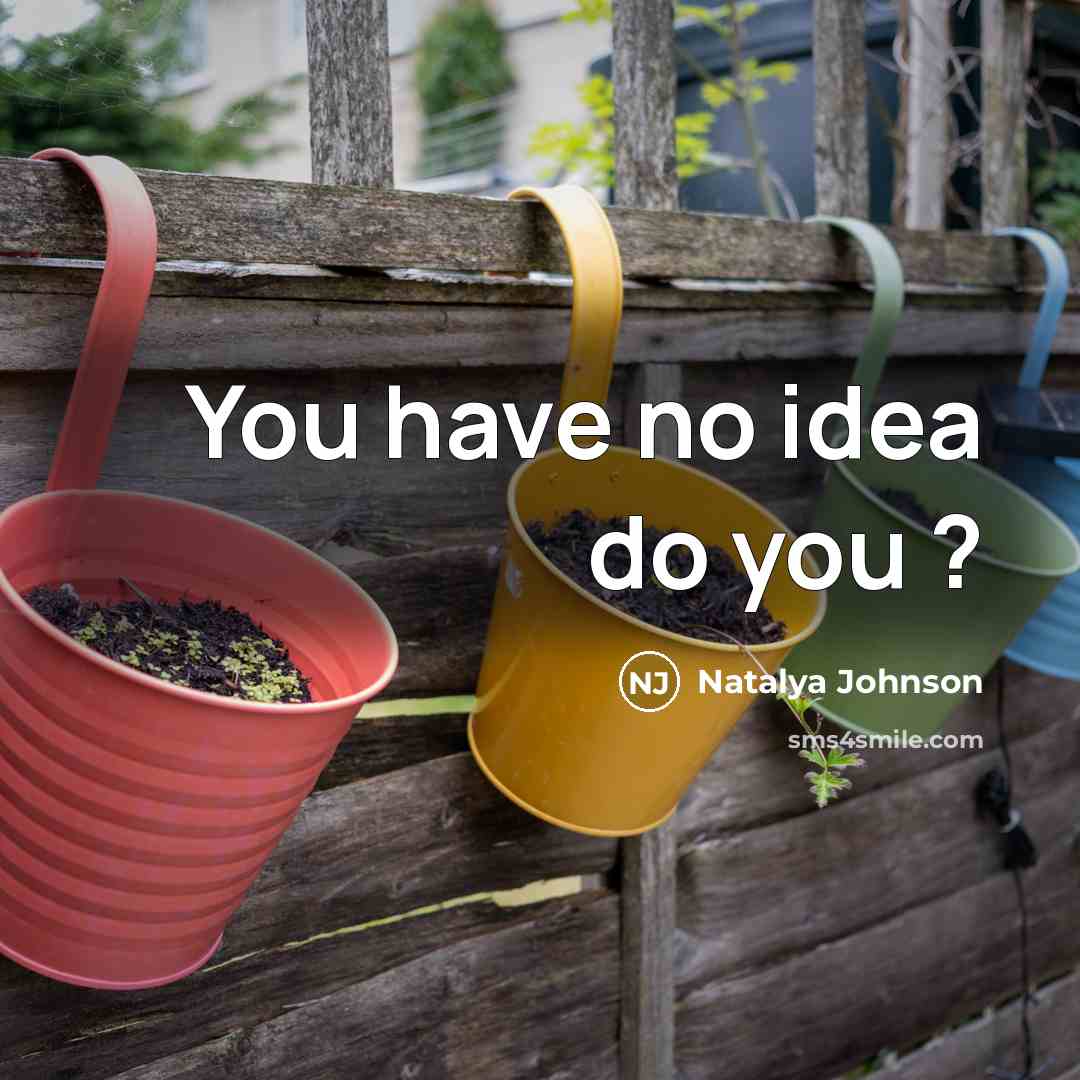 “You have no idea do you ?” quote by Natalya Johnson