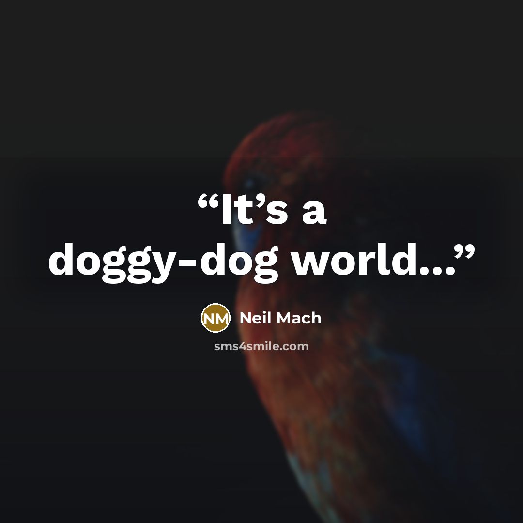 “It’s a doggy-dog world...” quote by Neil Mach