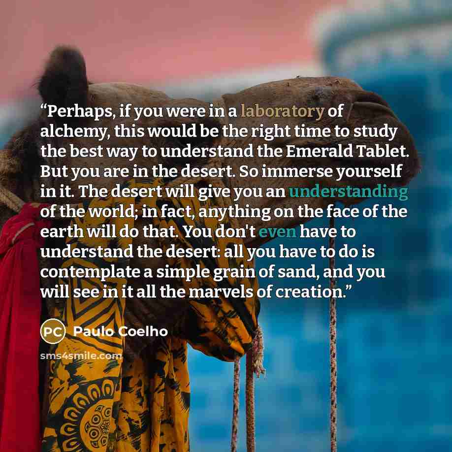 “Perhaps, if you were in a laboratory of alchemy, this would be the right time to study the best way to understand the Emerald Tablet. But you are in the desert. So immerse yourself in it. The desert will give you an understanding of the world; in fact, anything on the face of the earth will do…” quote by Paulo Coelho
