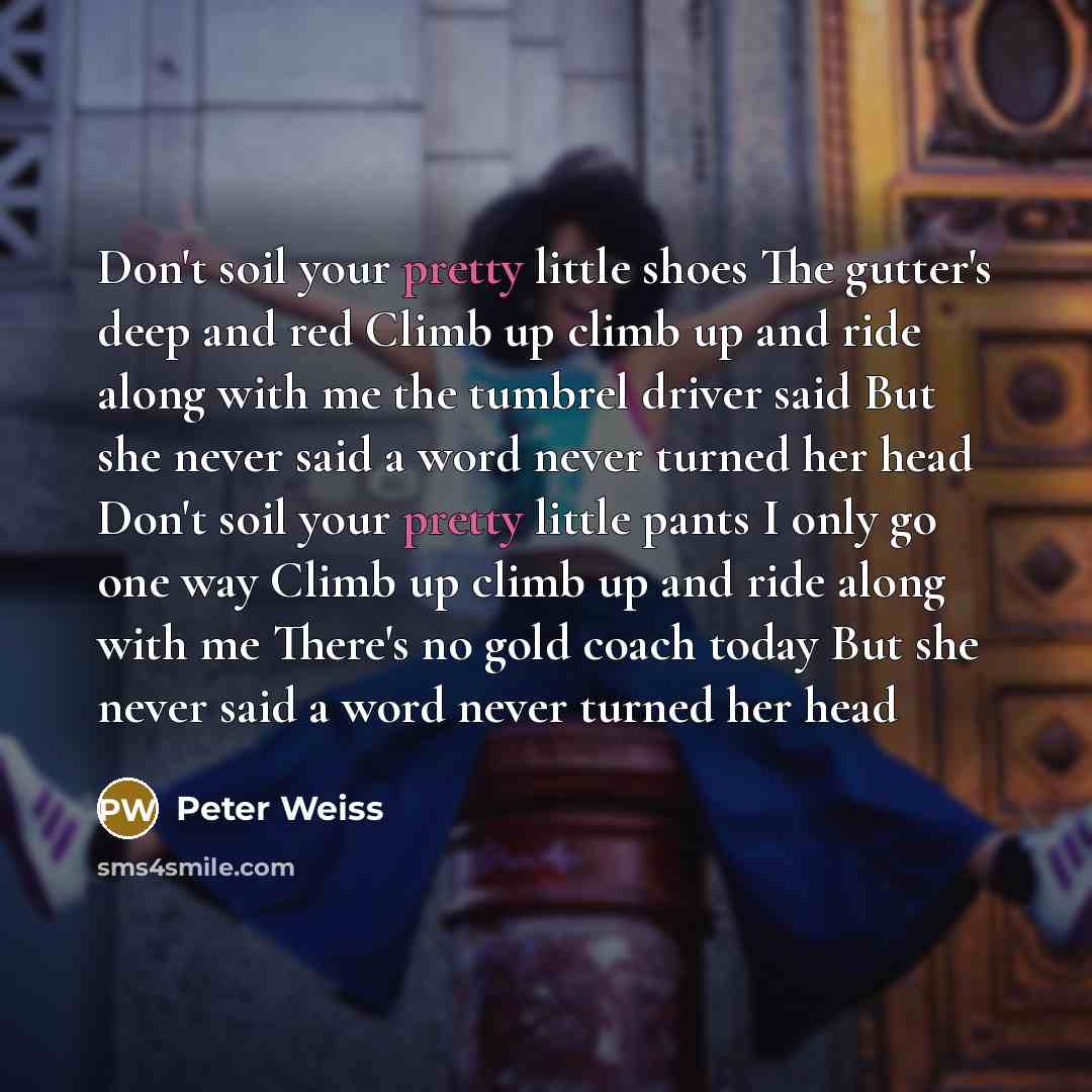“Don't soil your pretty little shoes The gutter's deep and…” quote by Peter Weiss