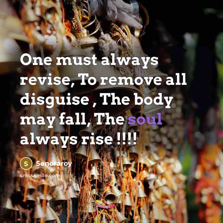 “One must always revise, To remove all disguise , The body may fall, The soul always rise !!!!” quote by Senoraroy