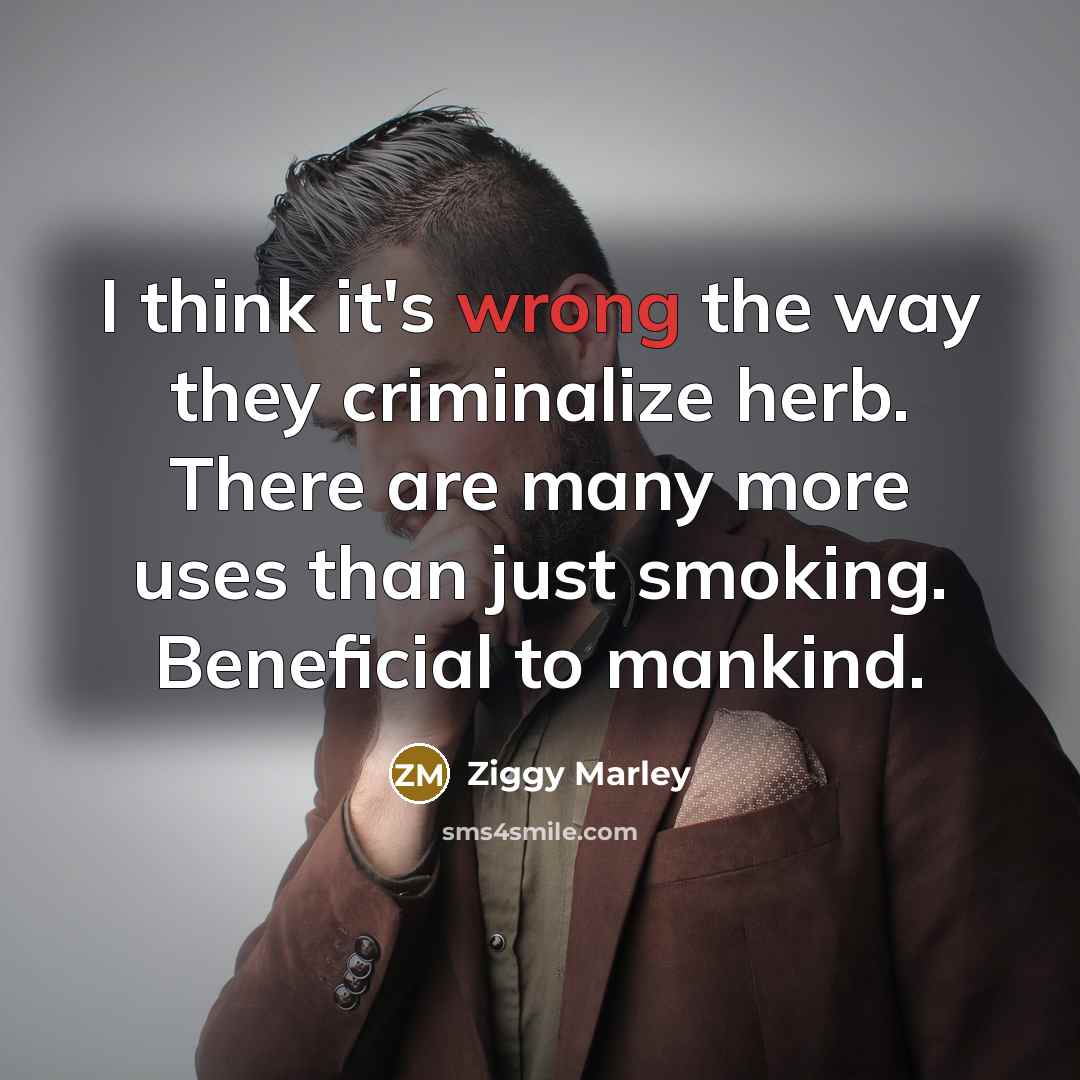 “I think it's wrong the way they criminalize herb. There…” quote by Ziggy Marley