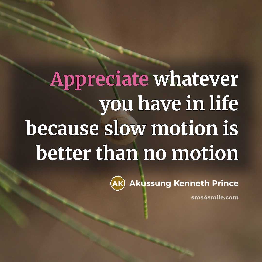 “Appreciate whatever you have in life because slow motion is…” quote by Akussung Kenneth Prince