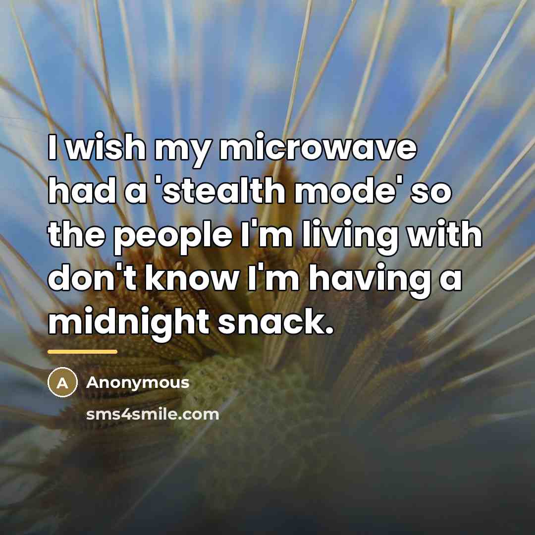 “I wish my microwave had a 'stealth mode' so the…” quote by Anonymous