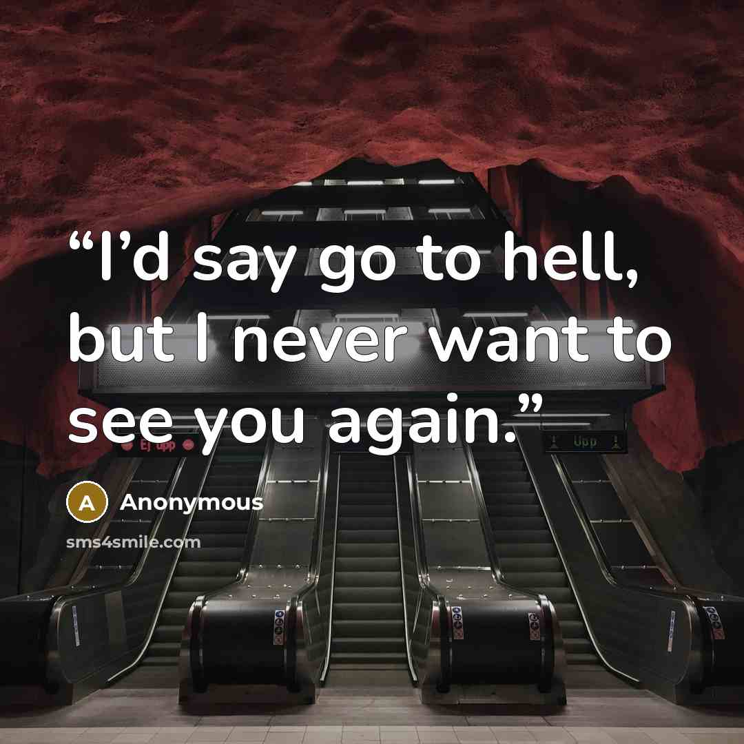 “I’d say go to hell, but I never want to see you again.” quote by Anonymous