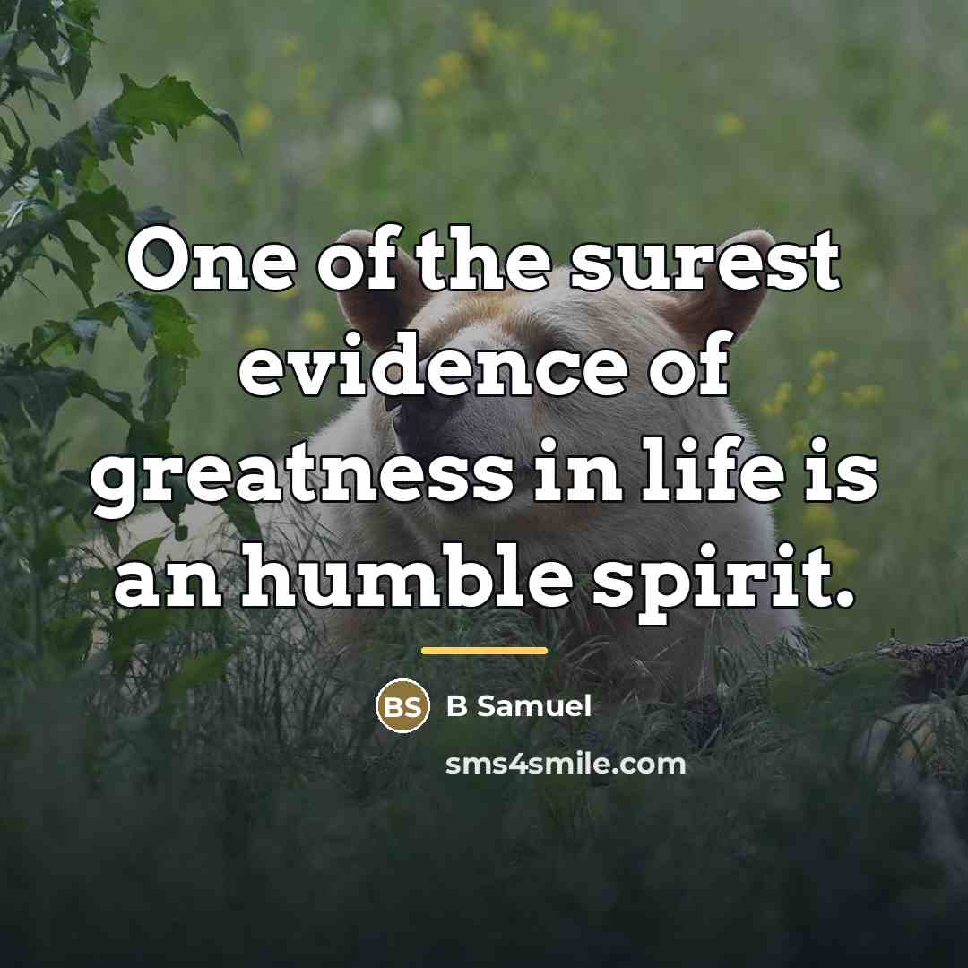 “One of the surest evidence of greatness in life is…” quote by Anonymous