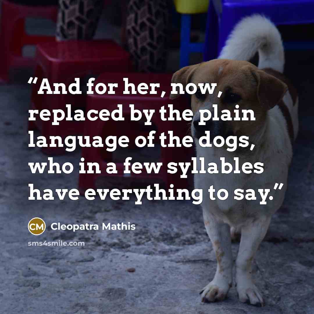 “And for her, now, replaced by the plain language of the dogs, who in a few syllables have everything to say.” quote by Cleopatra Mathis