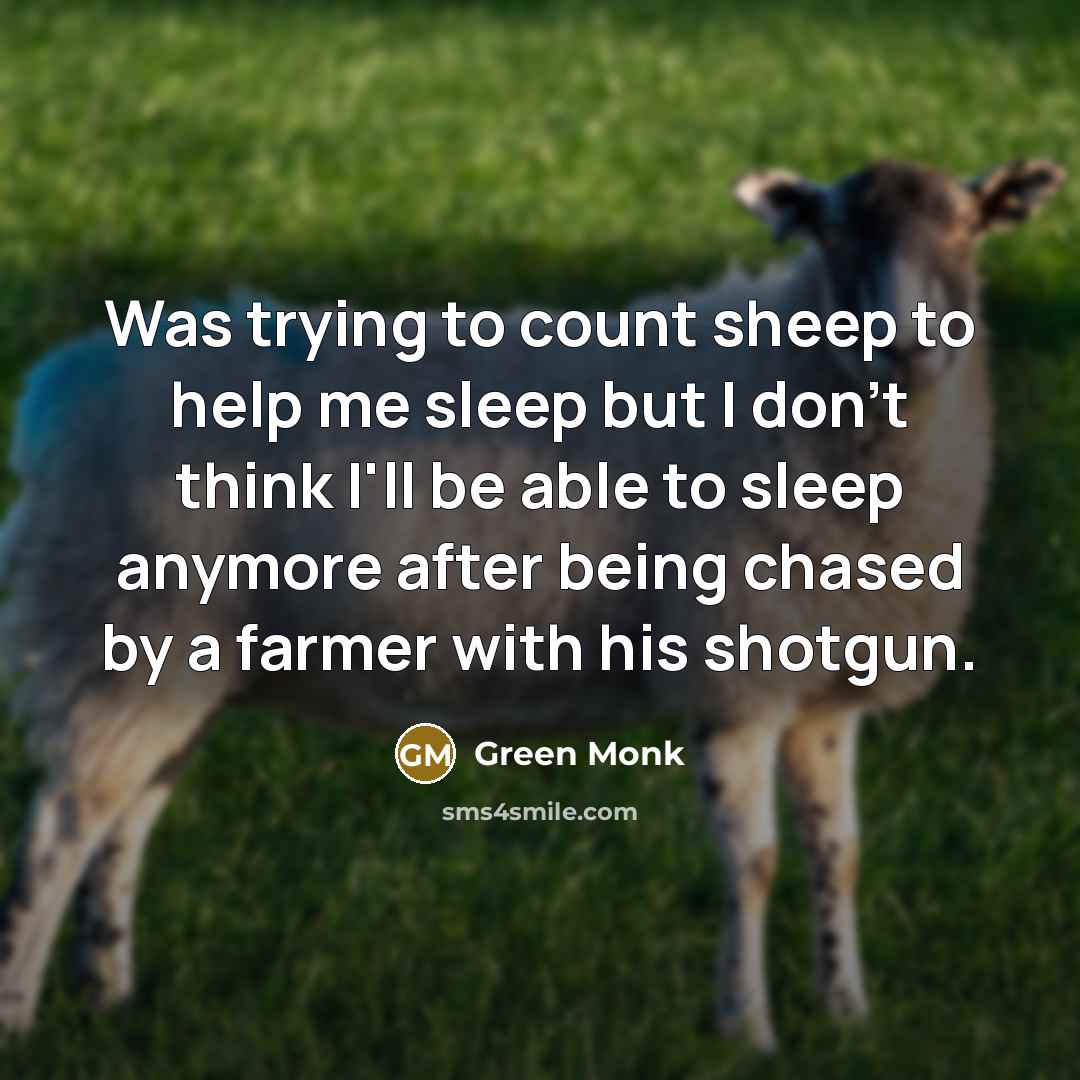 “Was trying to count sheep to help me sleep but…” quote by Green Monk