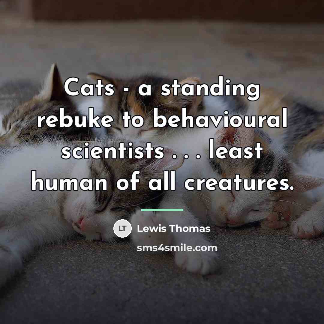 “Cats - a standing rebuke to behavioural scientists . .…” quote by Lewis Thomas