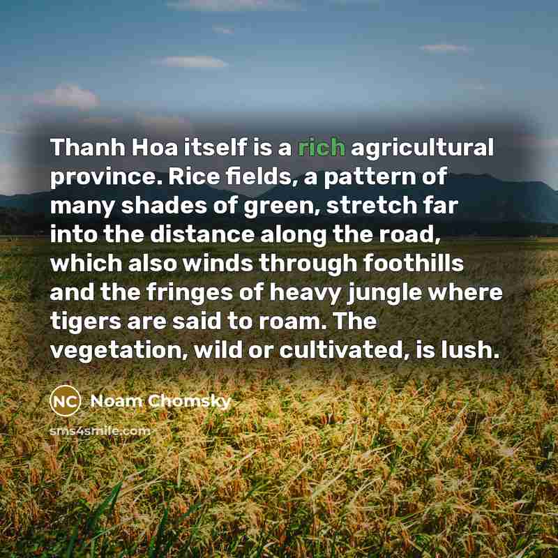 “Thanh Hoa itself is a rich agricultural province. Rice fields,…” quote by Noam Chomsky