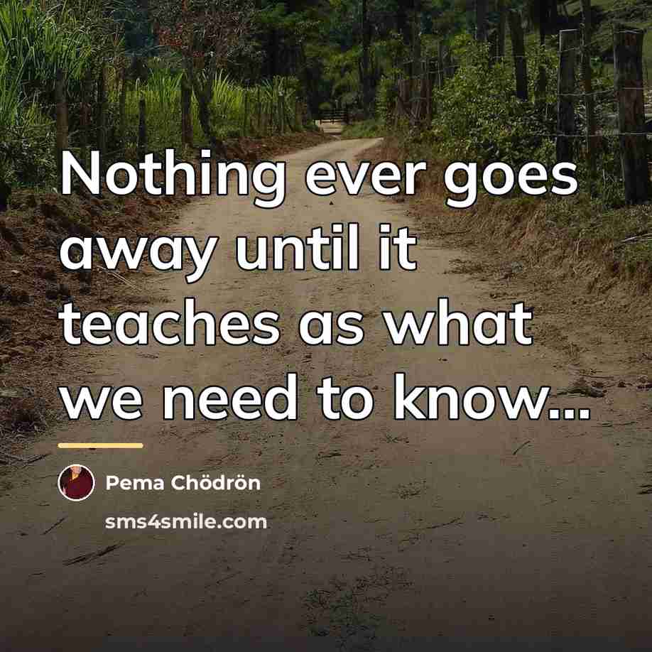 “Nothing ever goes away until it teaches as what we…” quote by Pema Chodron